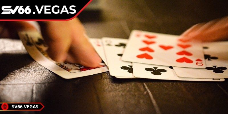 Một vài bộ bài hay gặp nhất